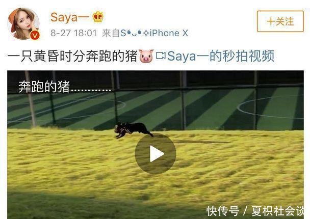 300万粉丝网红踢打孕妇致其高危早产，她名声早在网红圈臭了！