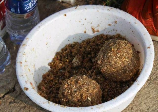  「将准备好」如果你想在夏天钓大鱼，你需要了解这些鱼饵，它们能帮助你钓到很多鱼