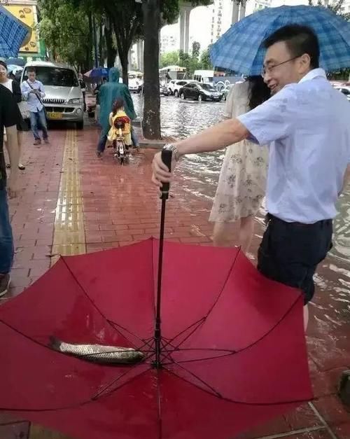  『局部』局部暴雨，阵风9级！山东发布重要天气预报！