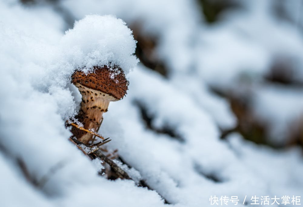 雪景中明明看到纯白的雪，为什么拍出来不够白了？拍摄白雪的要诀