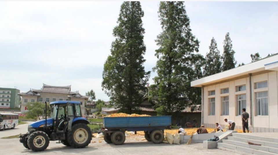  #见到#在朝鲜，你能见到哪些农用车？一种体型庞大一种古老原始