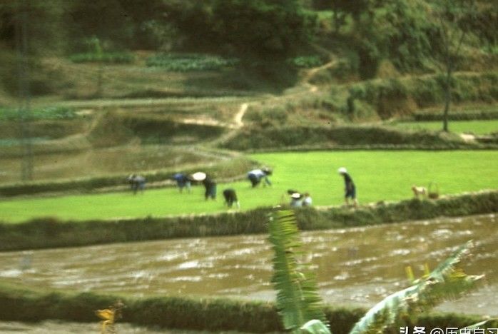  #边防检查#1972年深圳老照片：边界附近的村庄；罗湖边防检查站