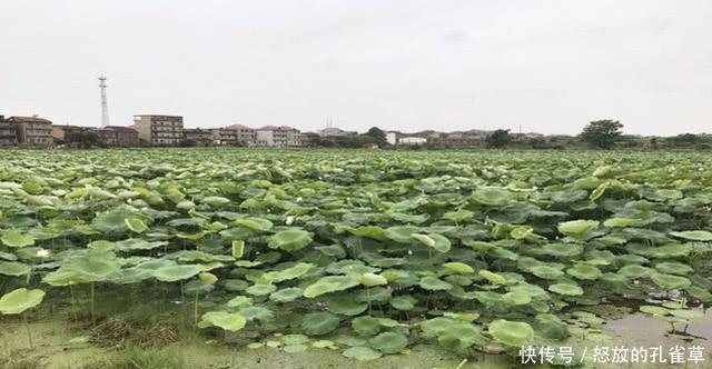  江西@江西最厉害的县，富裕程度远超赣州 九江，让景德镇 鹰潭极