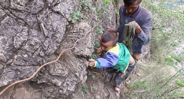 四川凉山被资助6个亿的悬崖村，就修了一条铁梯路?