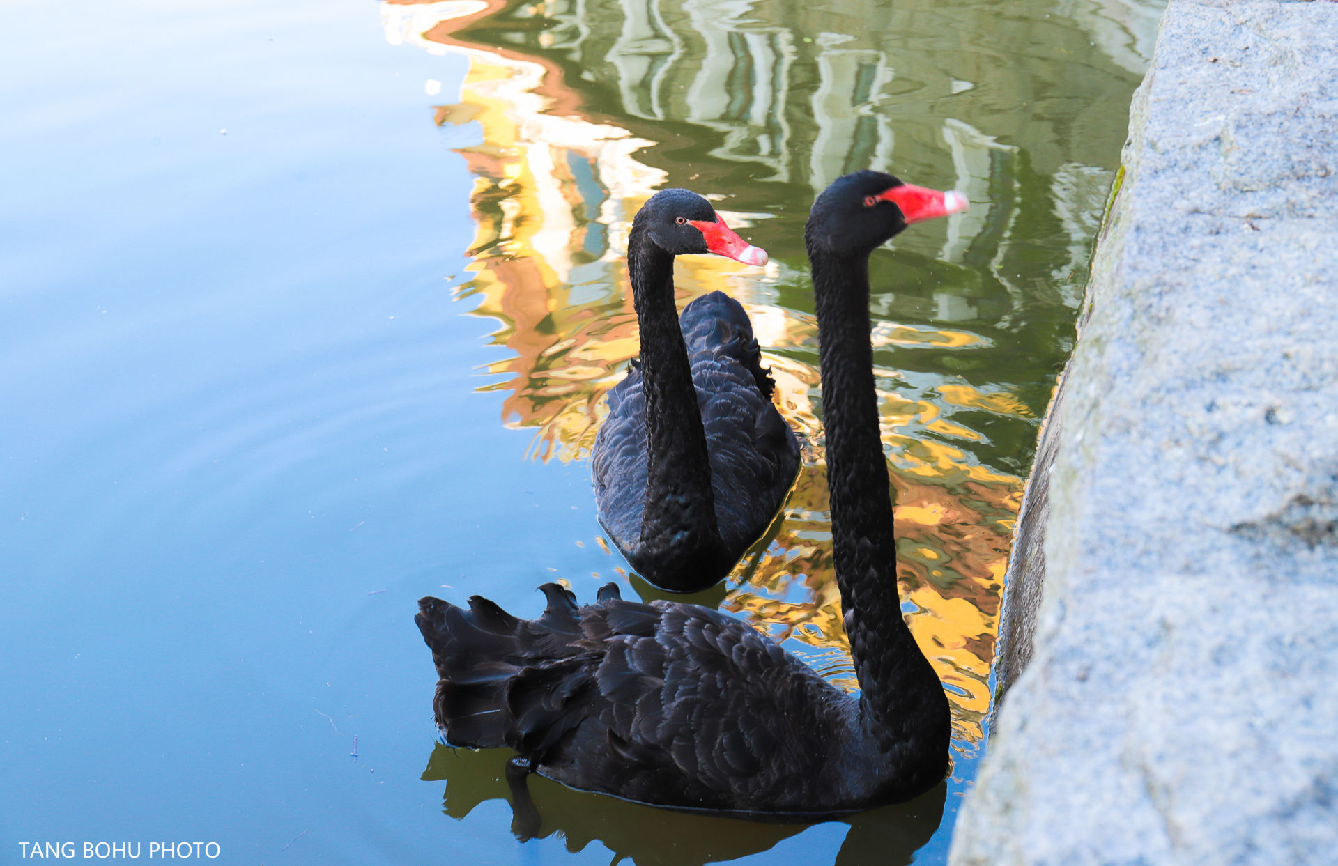 尽享深圳世外桃源的秘境之美，开启一段温泉之旅！