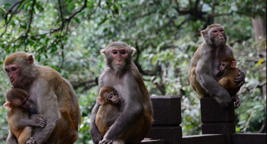 女子在景区被抢走两部手机,报警夺回后发现已损坏,景区:管不了