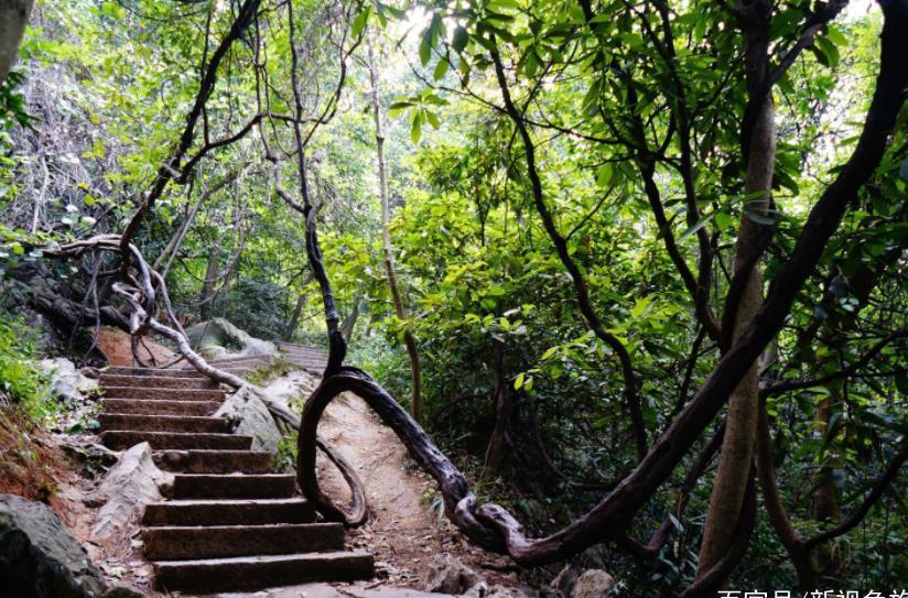隐匿于山水间的灵隐寺,身处其中,感受属于古刹的清净