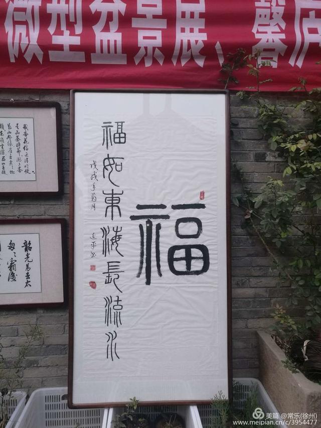  #盆协#徐州收藏家协会(盆景协会和铁路盆协)回龙窝微型盆景
