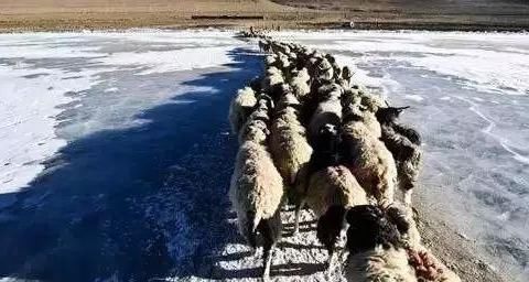 中国有座世界上海拔最高的村落，坐拥旷世美景，如同天堂的入口