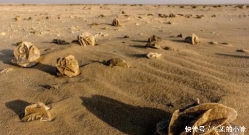 为何沙漠中看见“石头”要捡起？探险者：错过就没了