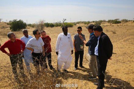  出征@浙江10万只鸭子计划出征巴基斯坦灭蝗情况不属实