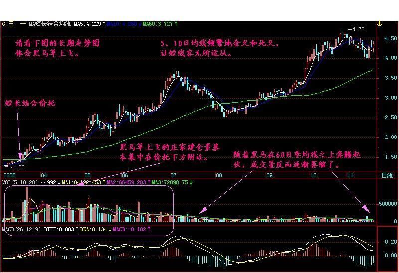 华尔街顶尖海归交易员箴言:中国股市会赚钱的只有这一种人