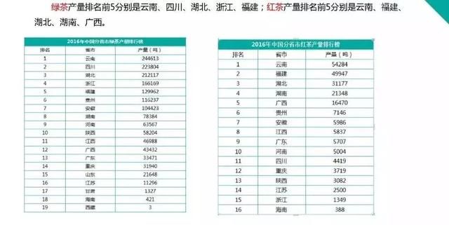 2018茶叶大数据报告最新出炉，值得每一位茶友看看！