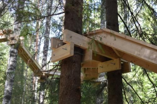 去俄罗斯旅游，路边小木屋不要靠近，进去可能再也出不来！