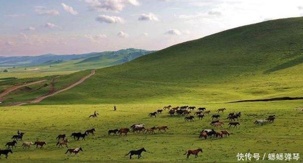 为什么广袤的大草原上长满青草,就是没有看到有几棵树呢?