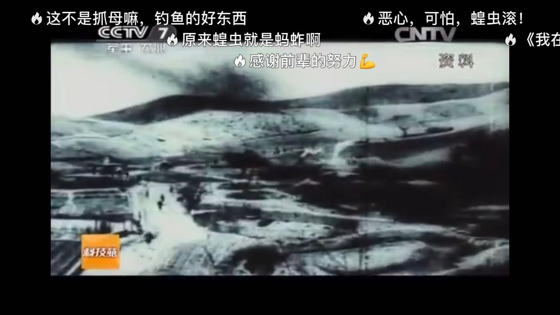  「纪录片」4000亿蝗虫肆虐印巴，我国人民19年前养鸡斗蝗的纪录