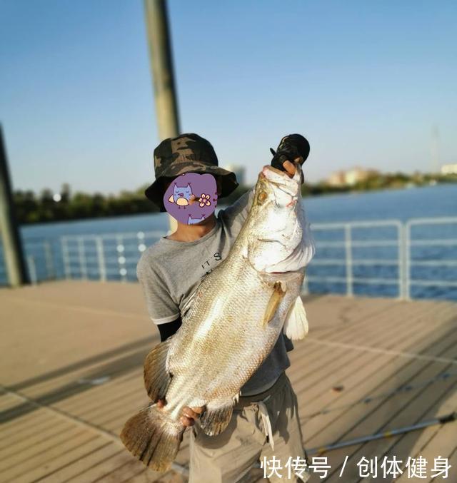 鱼类资源@换个角度看钓获放流,鱼获你敢吃吗