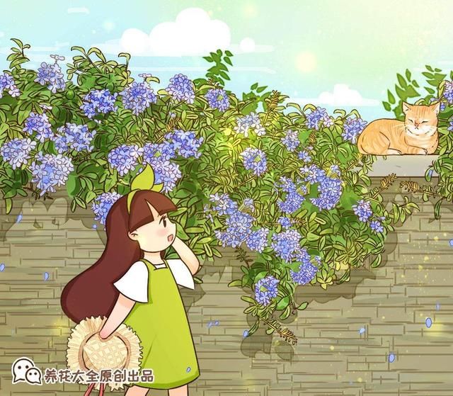  【到了夏天】8种爆盆花，越晒越热开花越多，懒人也能养爆盆