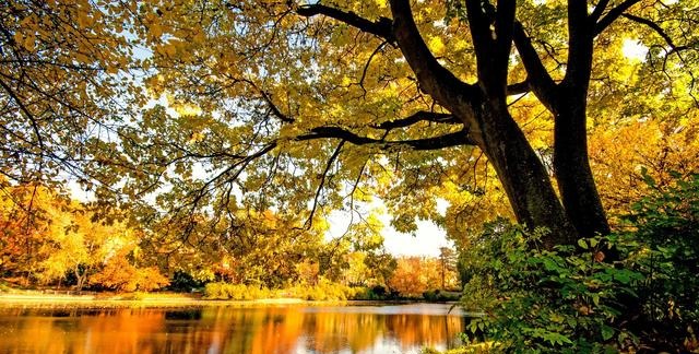 秋天已至，这十个美景不可不去