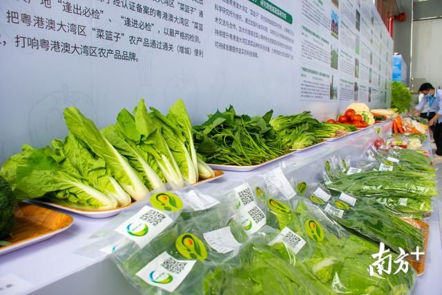  #菜篮子#“一站式”服务！粤港澳大湾区“菜篮子”通关（增城）便利区启用