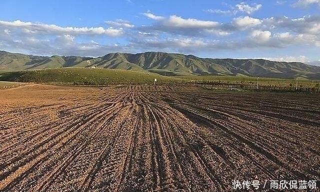  「事农业生产」“一户一田”真的来了，最新政策：农民可互换并