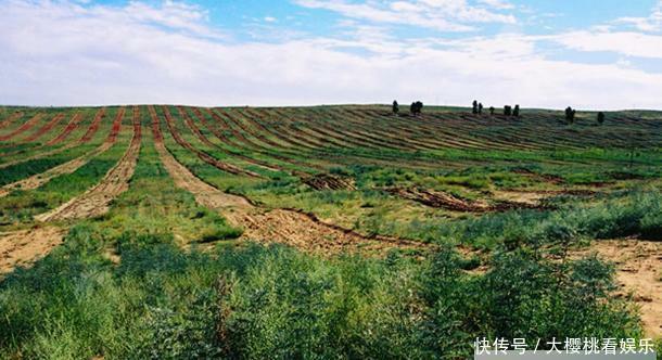 中国的八大沙漠四大沙地现状：多个沙漠在缩小，部分面积在扩大