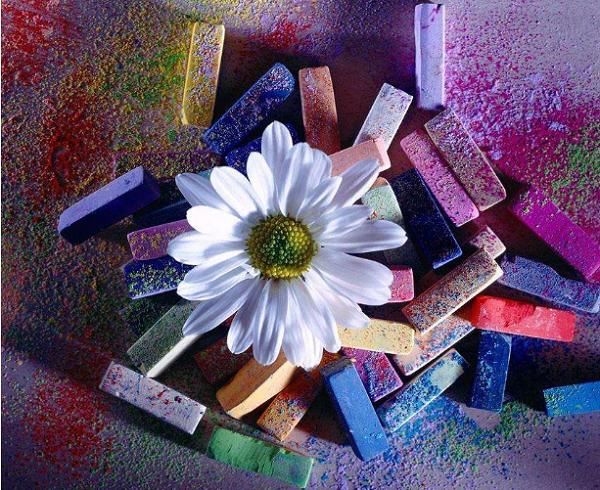 看一眼就已被勾住目光，华为nova 3樱草金靓丽色彩无法抗拒