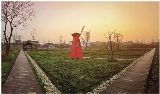 乡村振兴开新局 改革创新结硕果