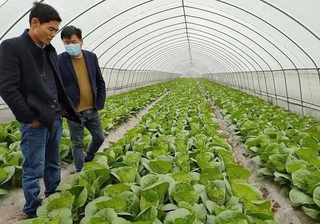  [劳动能力]收官之年，安徽剩余8.7万贫困户如何脱贫？