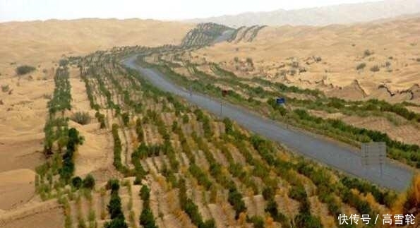 中国最大的沙漠带, 政府花数亿种下大量植物, 如今竟成这个样子