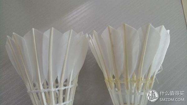 两款低价羽毛球的详细对比!