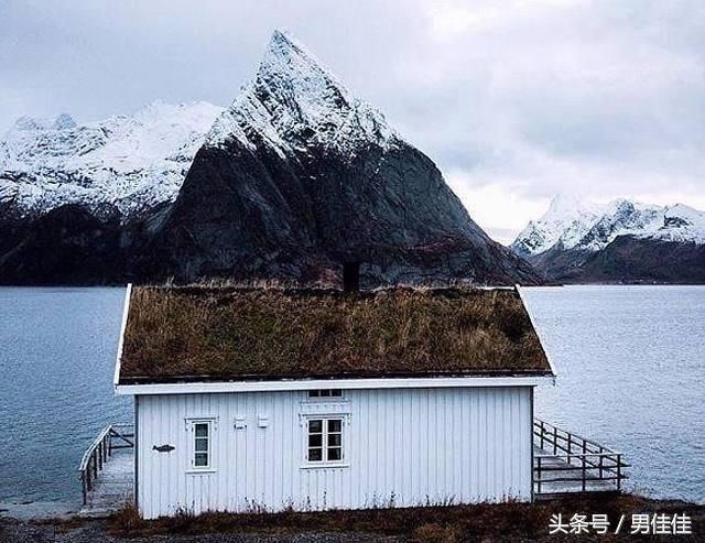 世界上最奇葩的8张照片，不要怀疑你的眼睛，真的没有PS !