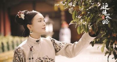 『舒妃』《如懿传》是怎么一步步错失了向《红楼梦》看齐的机会