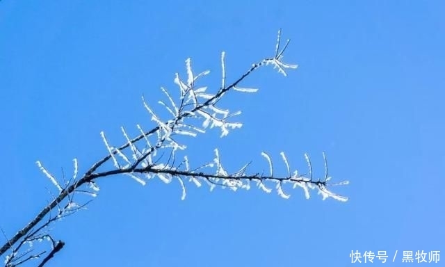  冰雪：灌阳风情：宝盖山的冰雪世界