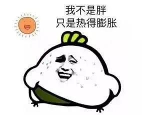  『湖南』高温！湖南飙至35℃！刚刚，省气象台连发冰雹、暴雨多道预警！2020年可能“热破纪录”