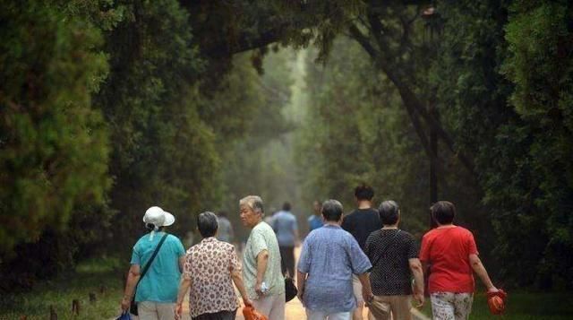  第一名|中国“老龄化”最严重的3个地区，上海上榜，第一名是北