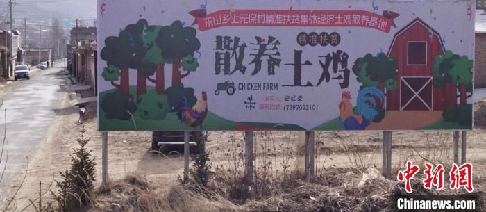  「青海」青海脑山贫困村脱贫见闻：解决滞销难题助贫困户增收