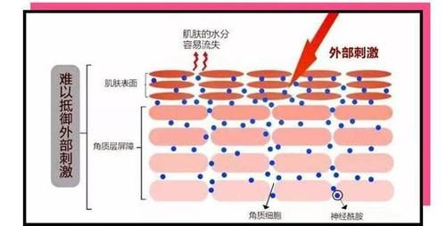  【内心OS】“你”的护肤方法vs“美妆博主”的护肤方法