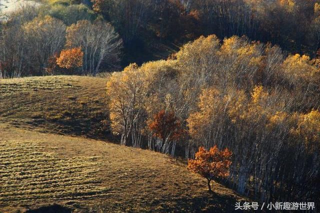 内蒙古一处美丽的峡谷，让人忘记身处草原，流动的色彩真叫人沉醉