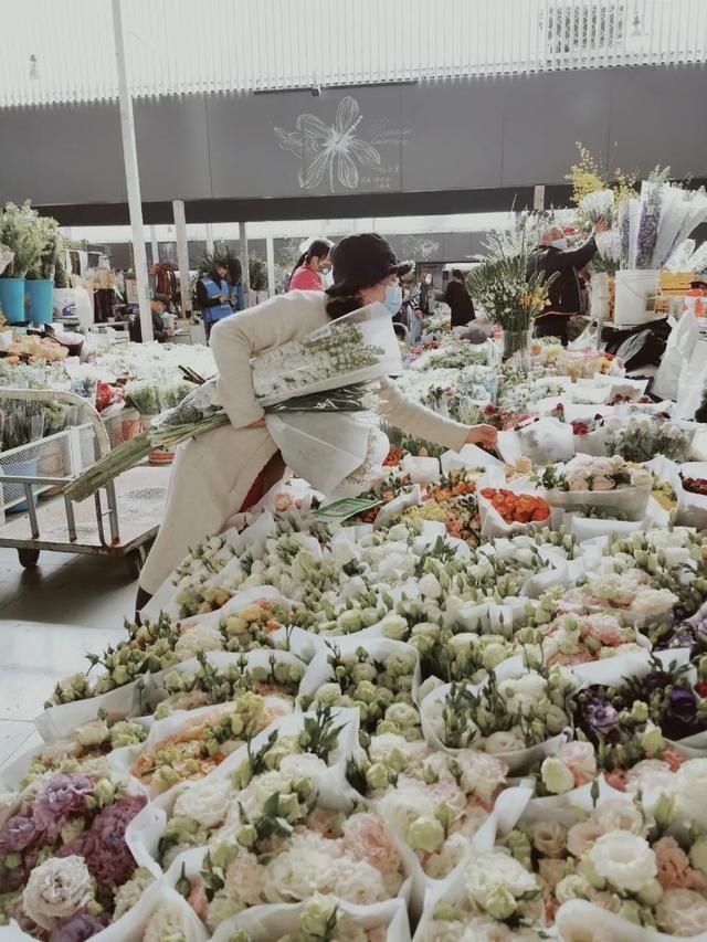  『春暖花开』春暖花开 在九月等你