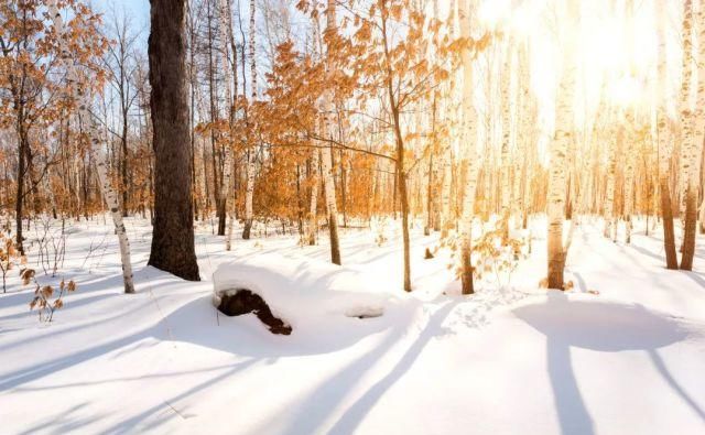 网红打卡地“雪乡”迎大雪！延吉朋友！这你准备好赴北国童话之约