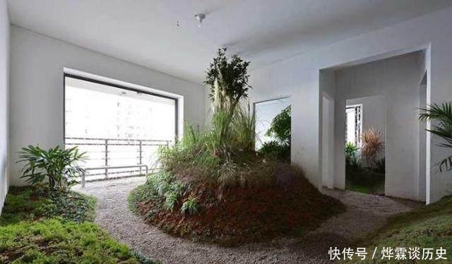  男人@3个男人把出租屋改造成公园, 物业很抓狂, 房东却高兴坏了