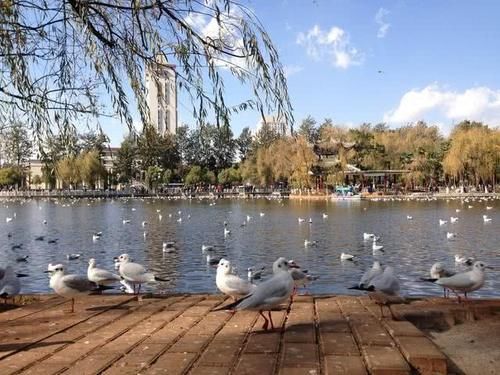  空调：中国最适合居住养老的城市，冬无严寒夏无酷暑，普通人家