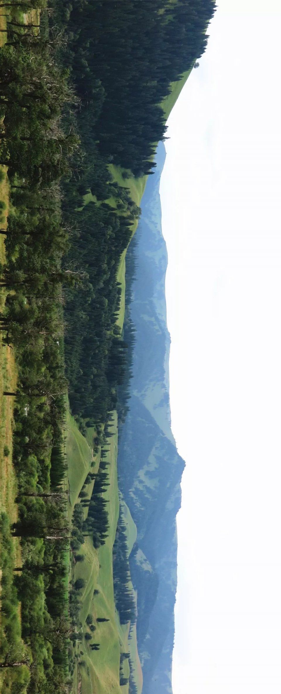 那拉提大草原:仿佛人间伊甸