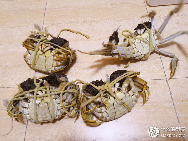 任你天花乱坠，简单一试，我就知道这大闸蟹值不值得吃!