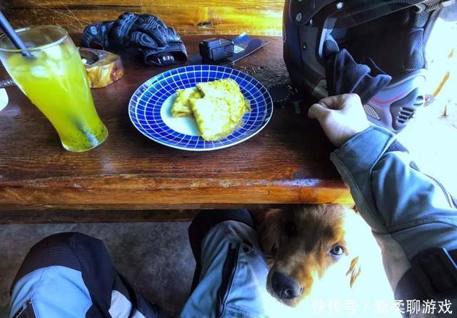 你的宝马标志是不是贴上去的？