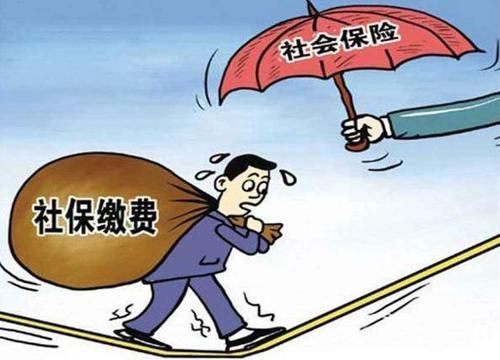  「费用」在企业缴纳了“五险一金”，可以不用缴新农保和合作医