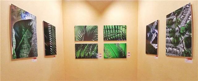 钱捍:摄影赛道奔跑40年 为三门峡摄影大展带来“绿色之风”