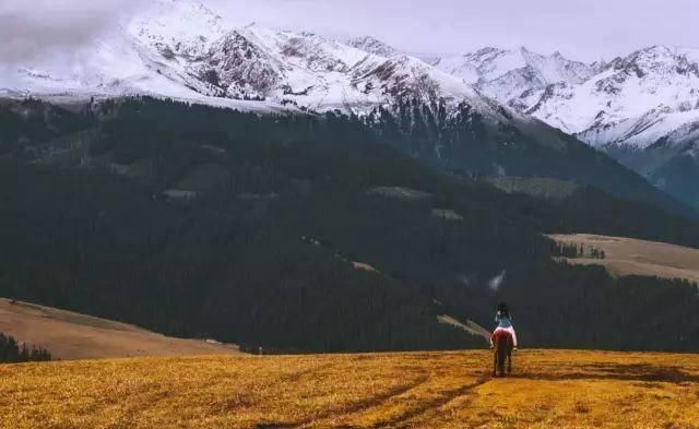 最美的秋天在路上!中国勾魂的秋景就在北疆,惊艳的让人失眠