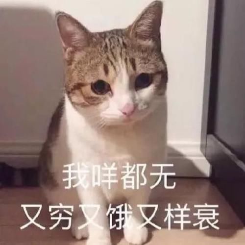  精致@那些总保持着精致的女孩子究竟用了什么好物？
